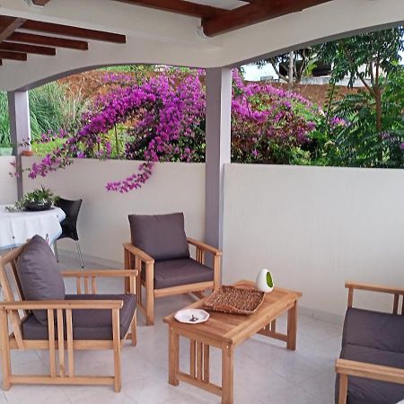 Paradis Cache - Confort Terrasse - Kybo Karaib Location - Pkg - Mtgne แซงต์-มารีย์ ภายนอก รูปภาพ