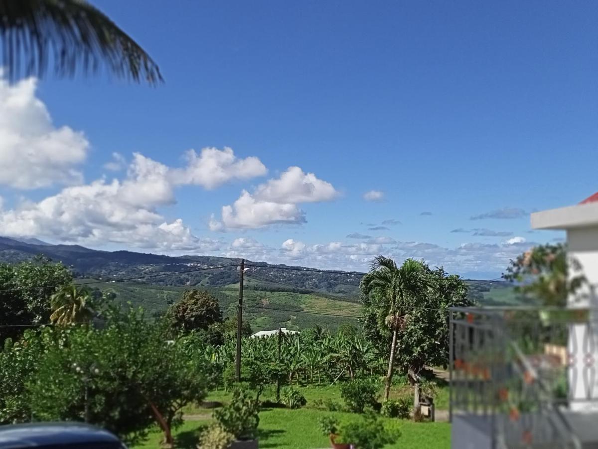 Paradis Cache - Confort Terrasse - Kybo Karaib Location - Pkg - Mtgne แซงต์-มารีย์ ภายนอก รูปภาพ