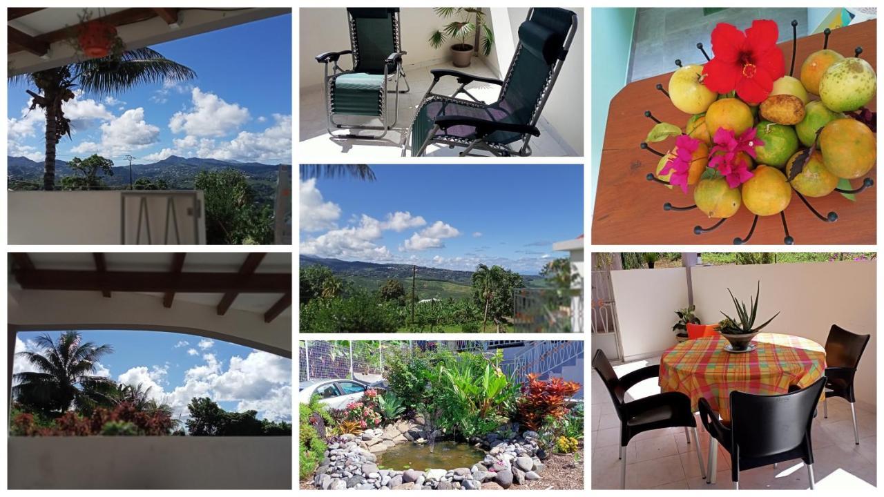 Paradis Cache - Confort Terrasse - Kybo Karaib Location - Pkg - Mtgne แซงต์-มารีย์ ภายนอก รูปภาพ